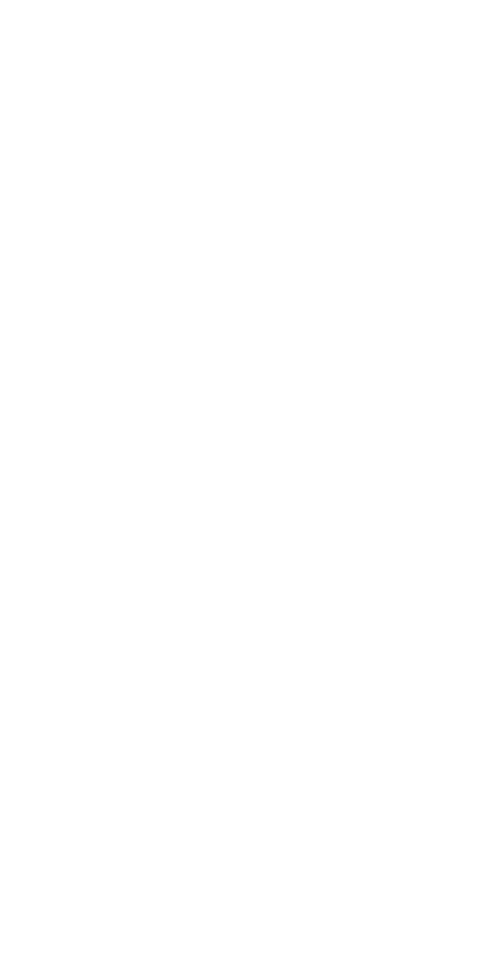 Borex Logo B BG